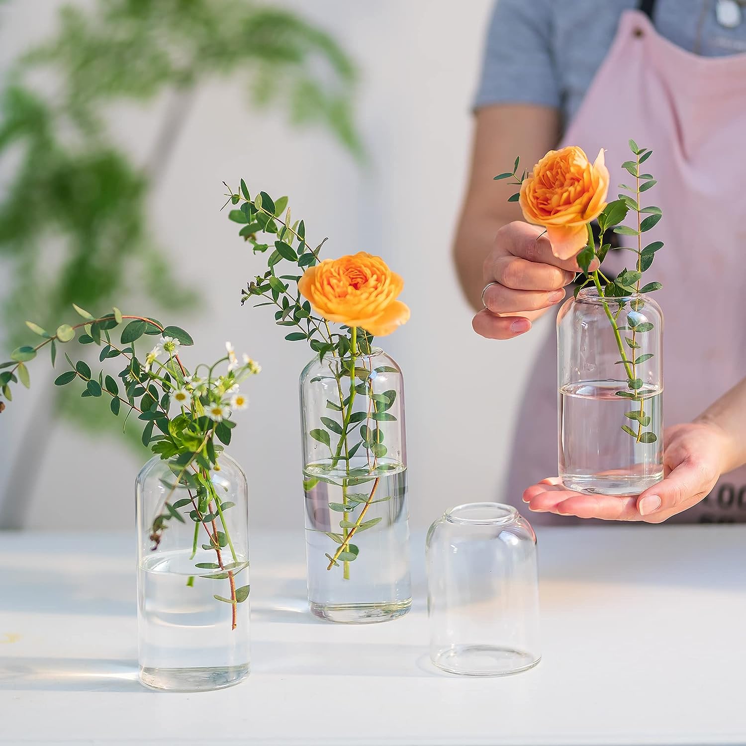 Glass Bud Vases for Flowers